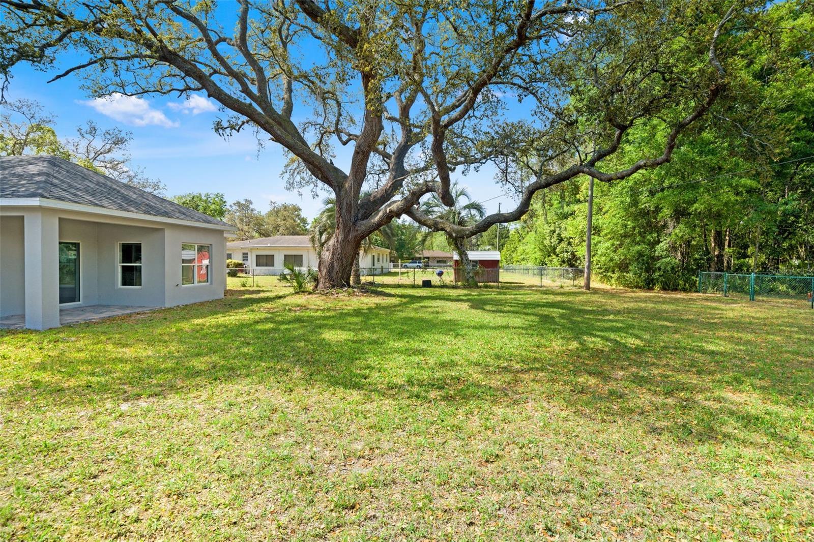 Image 32 of 37 For 179 Jenkins Avenue