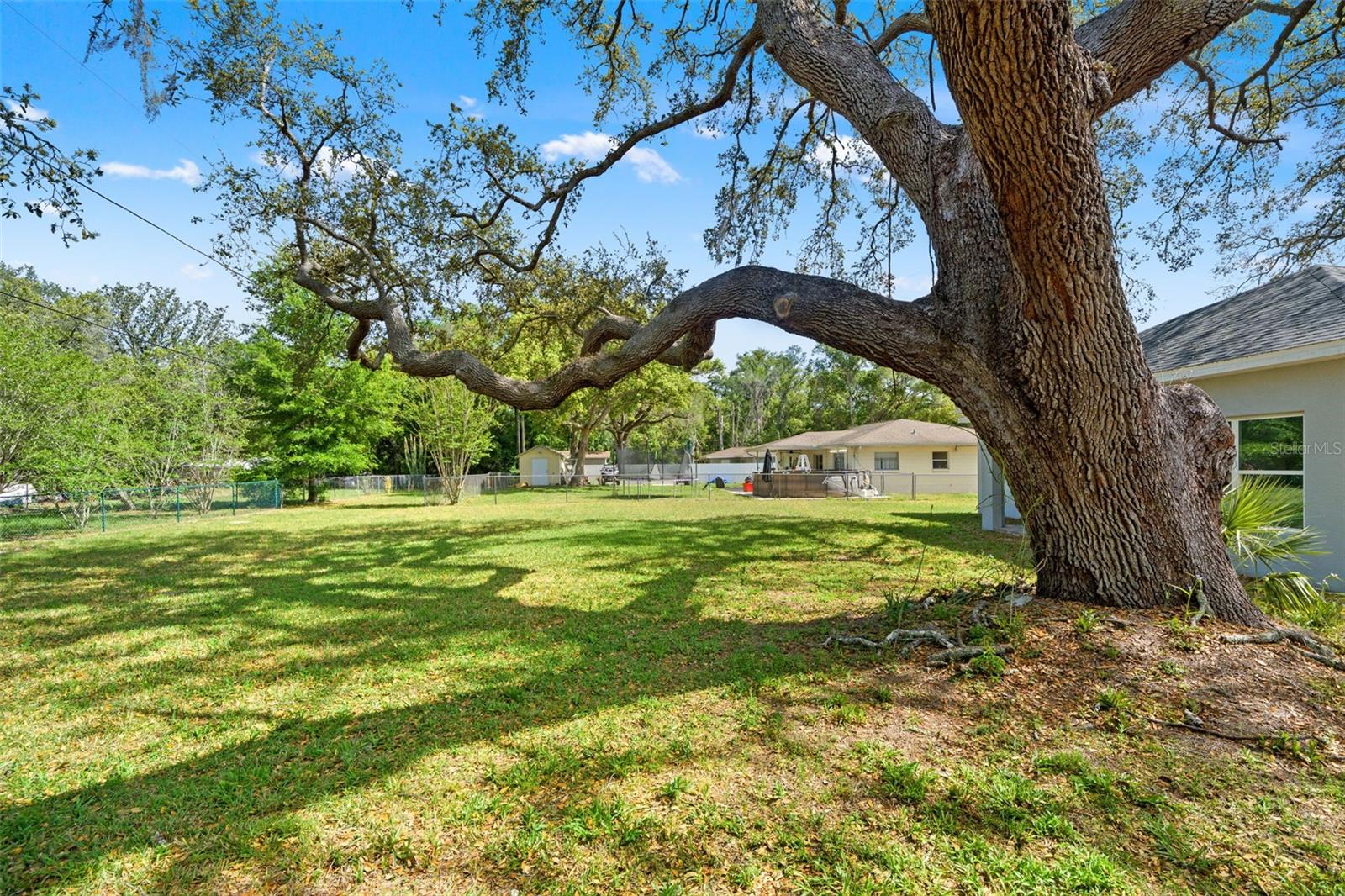 Image 33 of 37 For 179 Jenkins Avenue