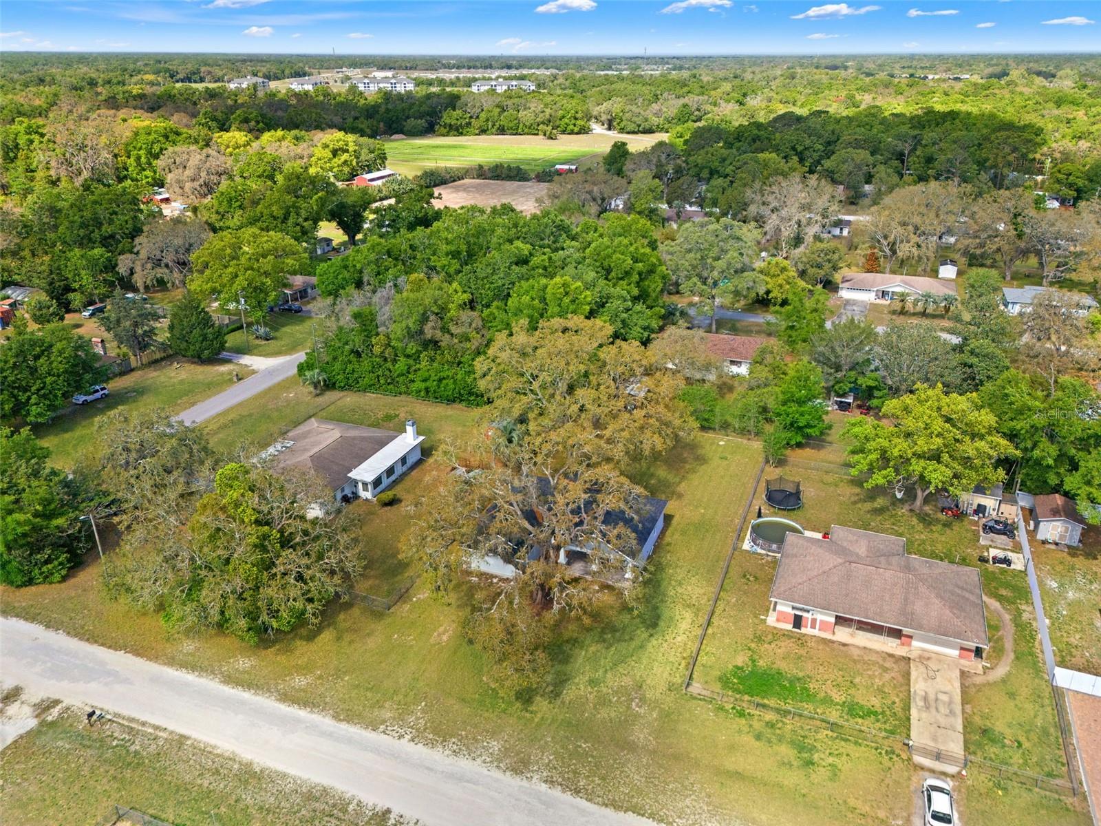 Image 34 of 37 For 179 Jenkins Avenue