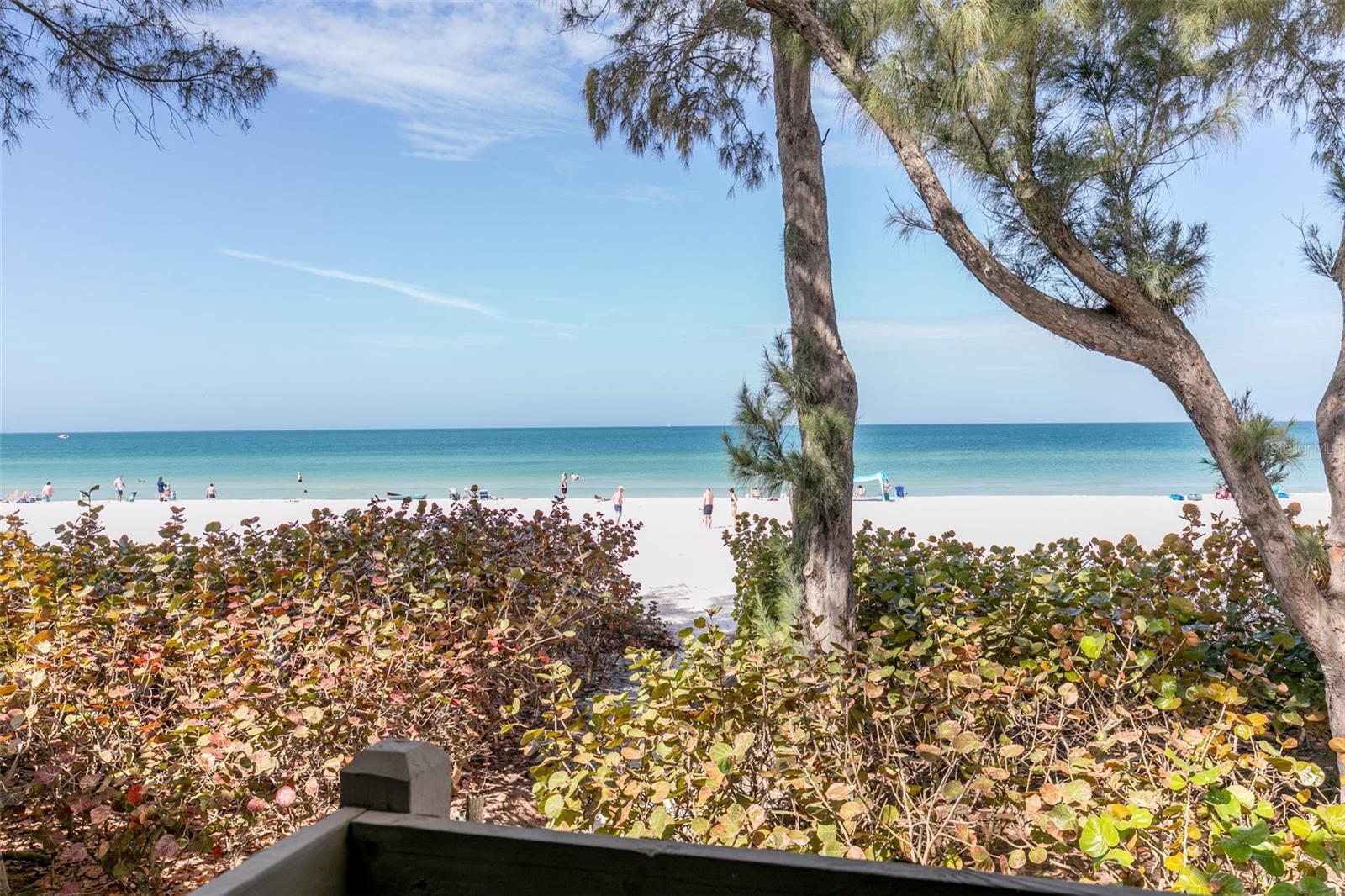 Image 15 of 45 For 19812 Gulf Boulevard 4