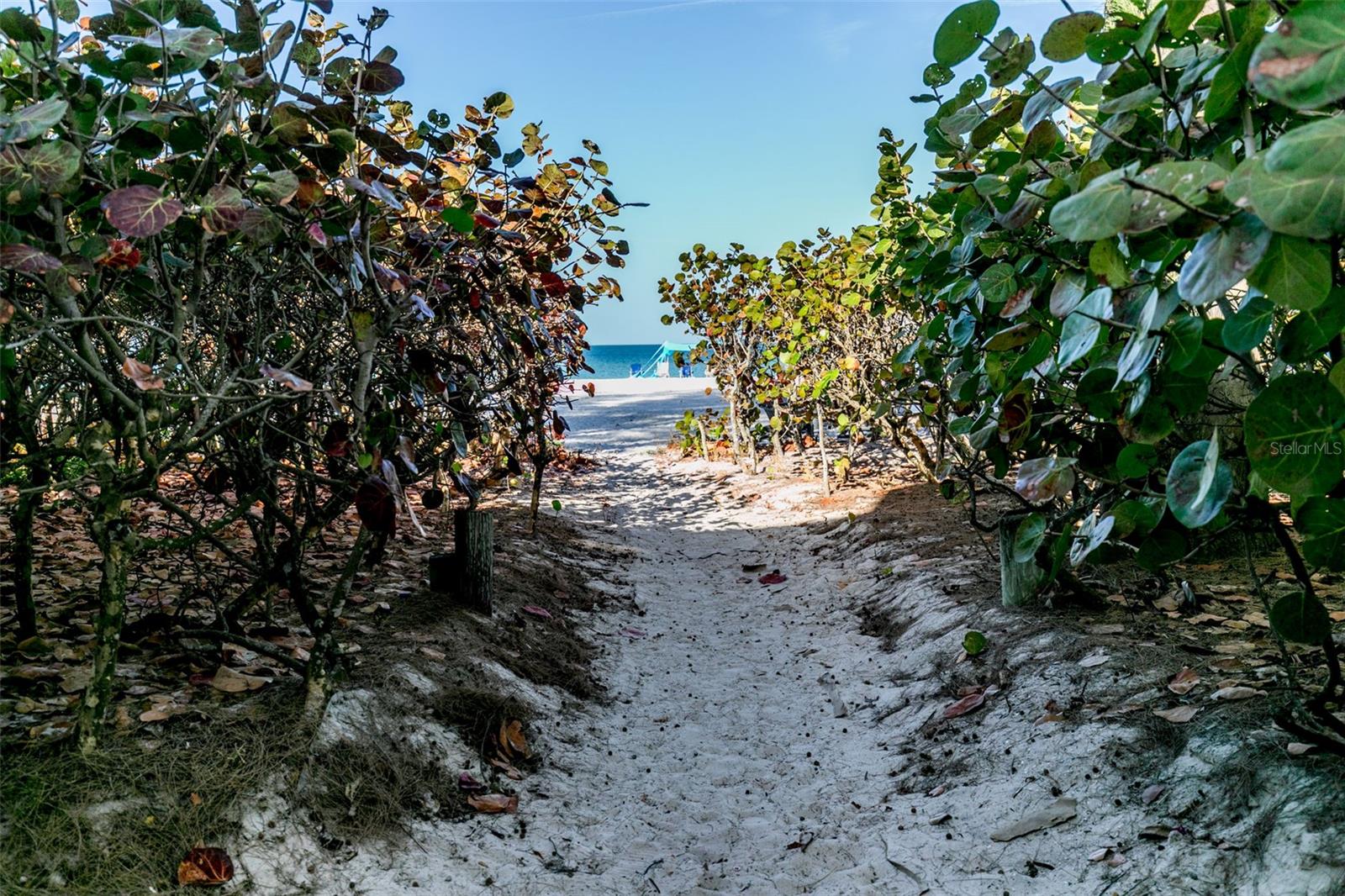 Image 36 of 45 For 19812 Gulf Boulevard 4