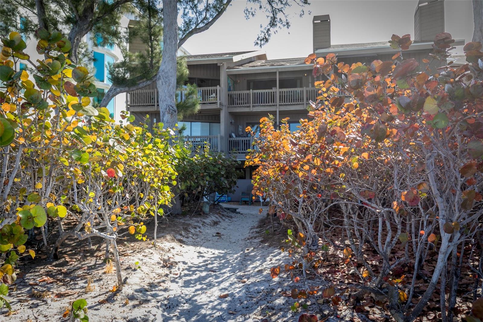 Image 40 of 45 For 19812 Gulf Boulevard 4