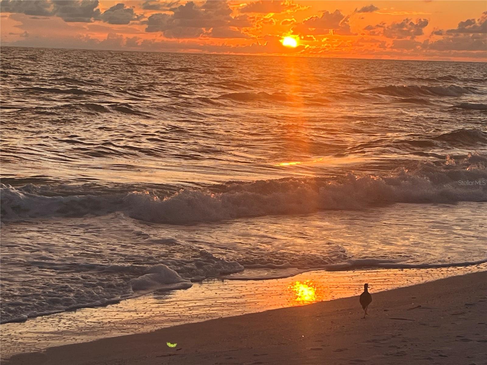 Image 41 of 45 For 19812 Gulf Boulevard 4