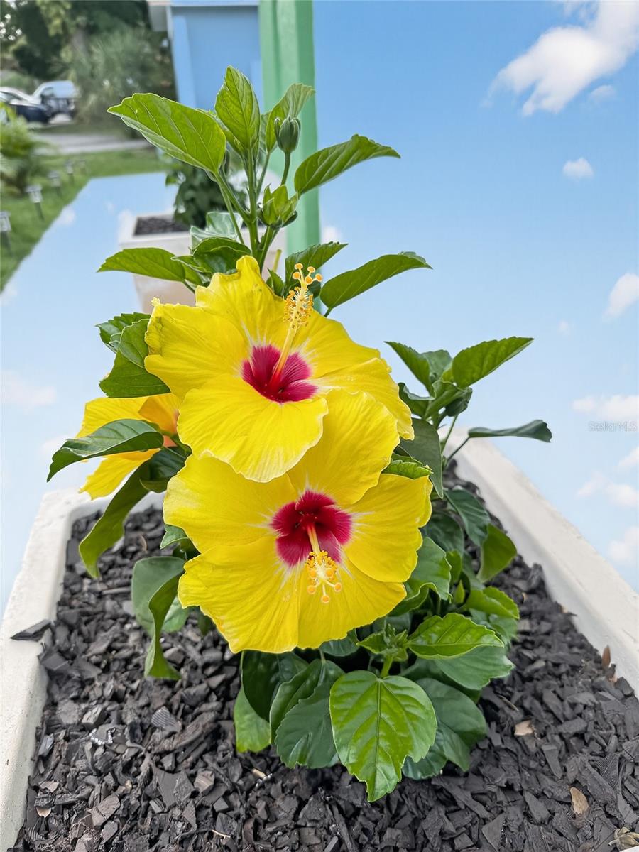 Image 48 of 63 For 2311 Kentucky Avenue