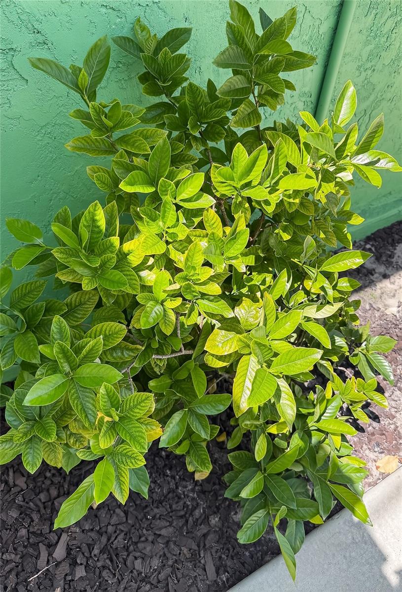 Image 49 of 63 For 2311 Kentucky Avenue