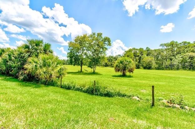 Image 42 of 44 For 320 Talisi Loop