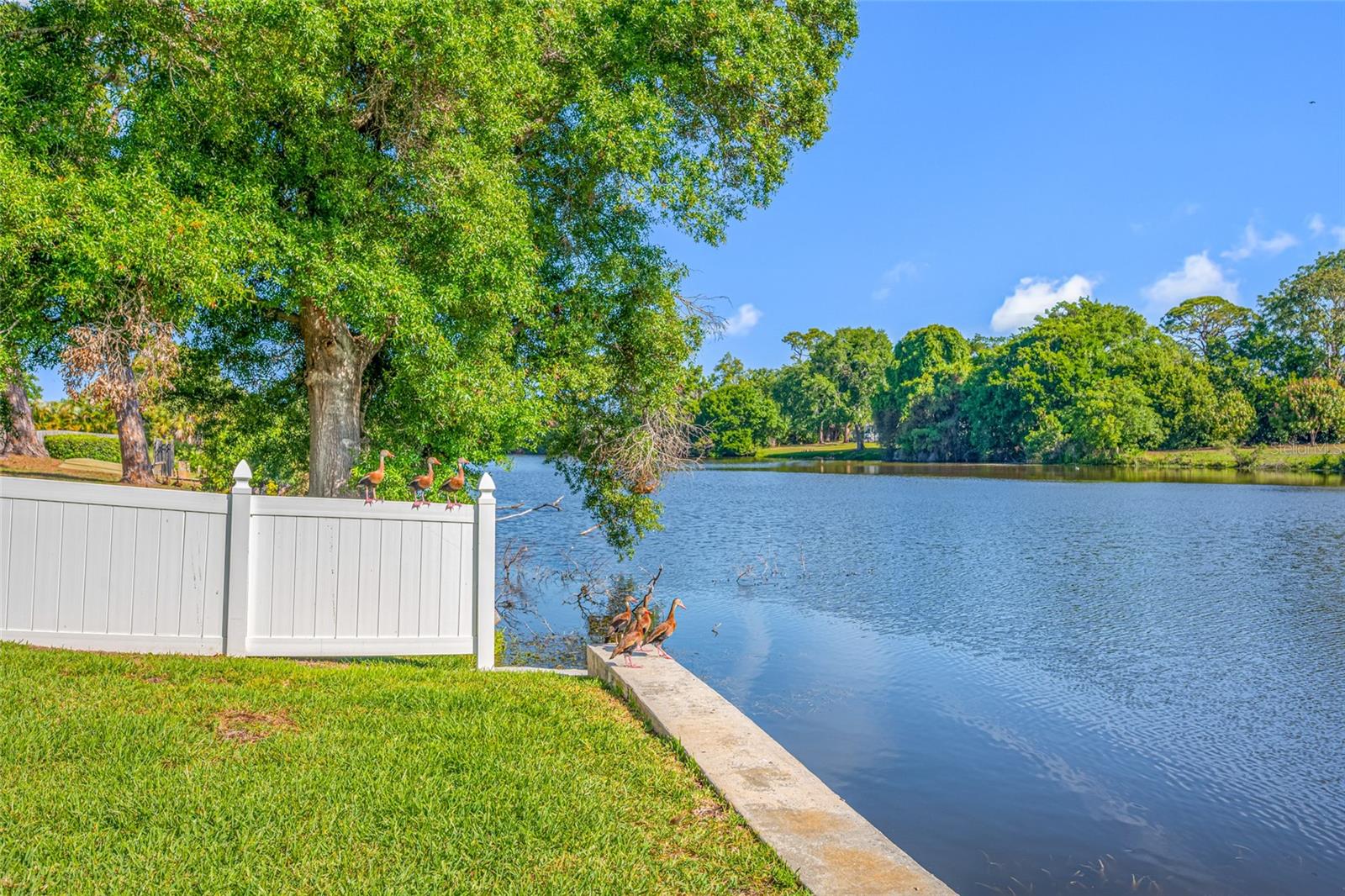 Image 67 of 85 For 2515 Desoto Way S