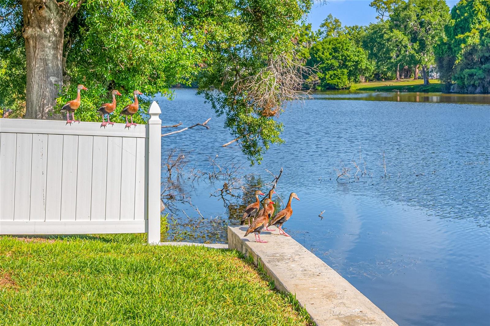 Image 68 of 85 For 2515 Desoto Way S