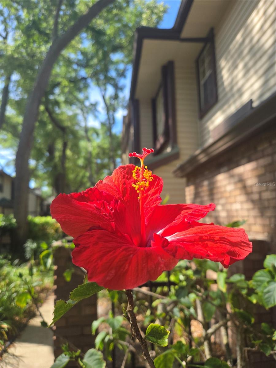 Image 3 of 47 For 1491 Mahogany Lane 1491