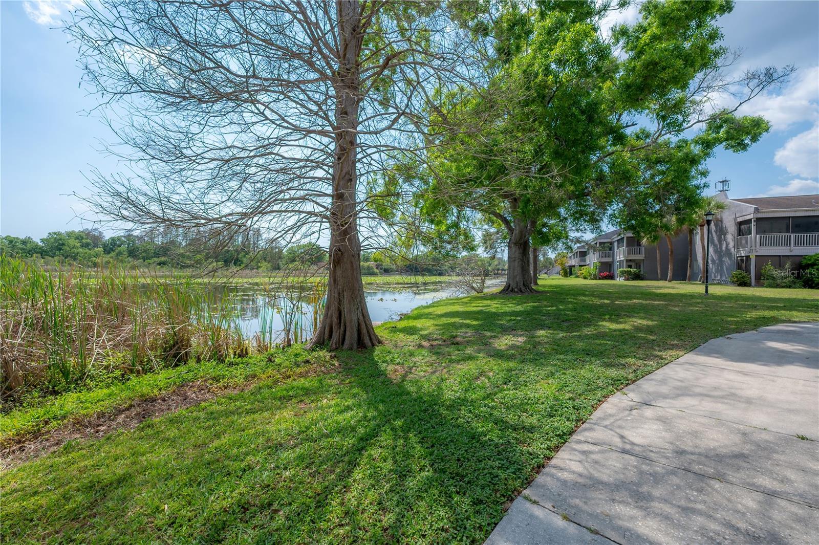 Image 25 of 29 For 4016 Cortez Drive D