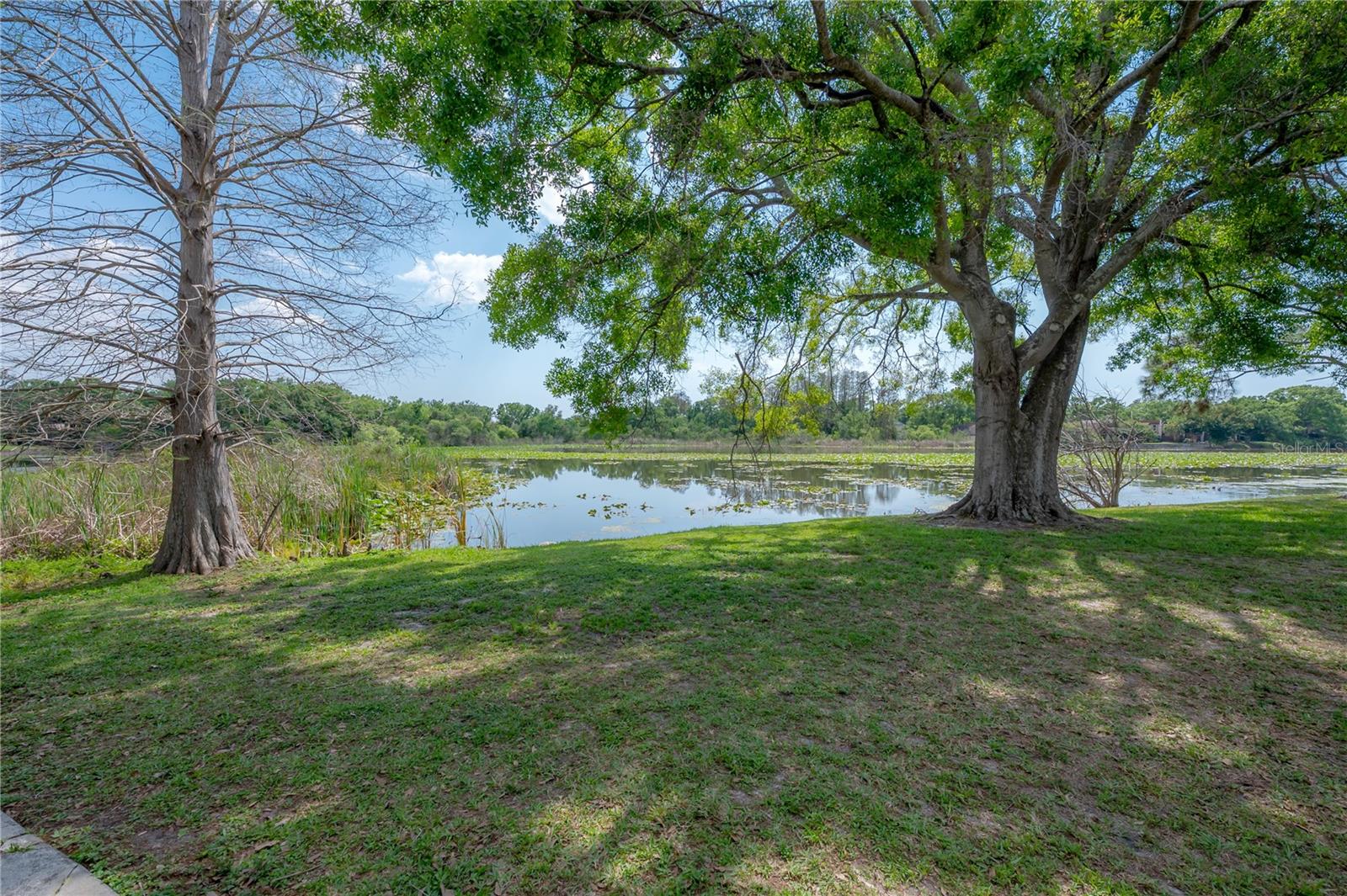 Image 26 of 29 For 4016 Cortez Drive D