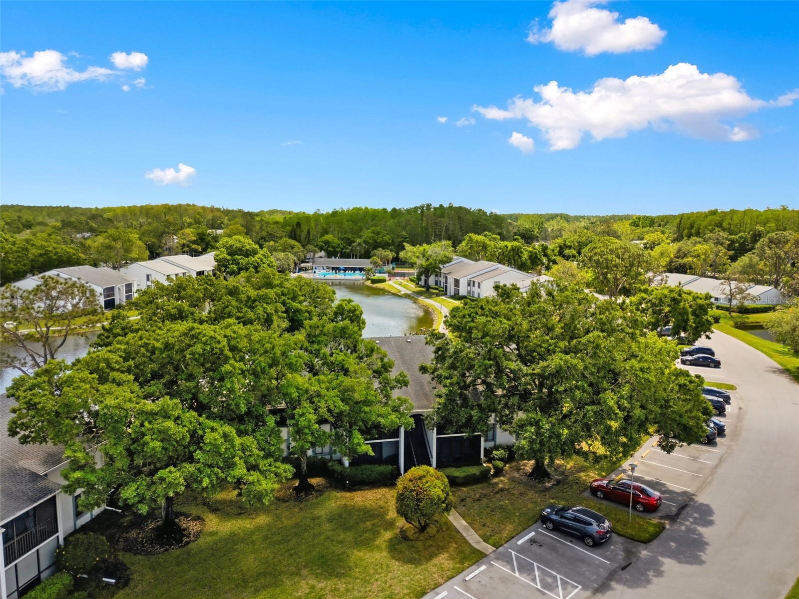 Image 46 of 63 For 1135 Pine Ridge Circle W A2