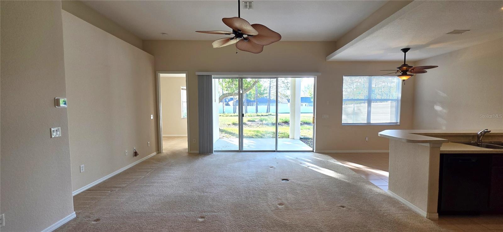 Image 10 of 62 For 10906 Tree Cactus Loop