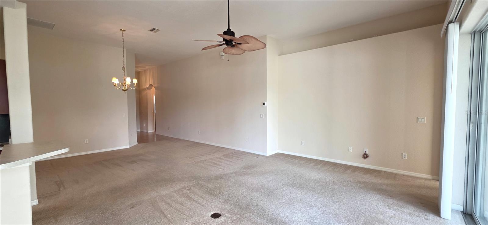 Image 14 of 62 For 10906 Tree Cactus Loop