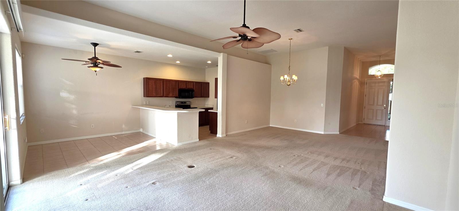 Image 16 of 62 For 10906 Tree Cactus Loop