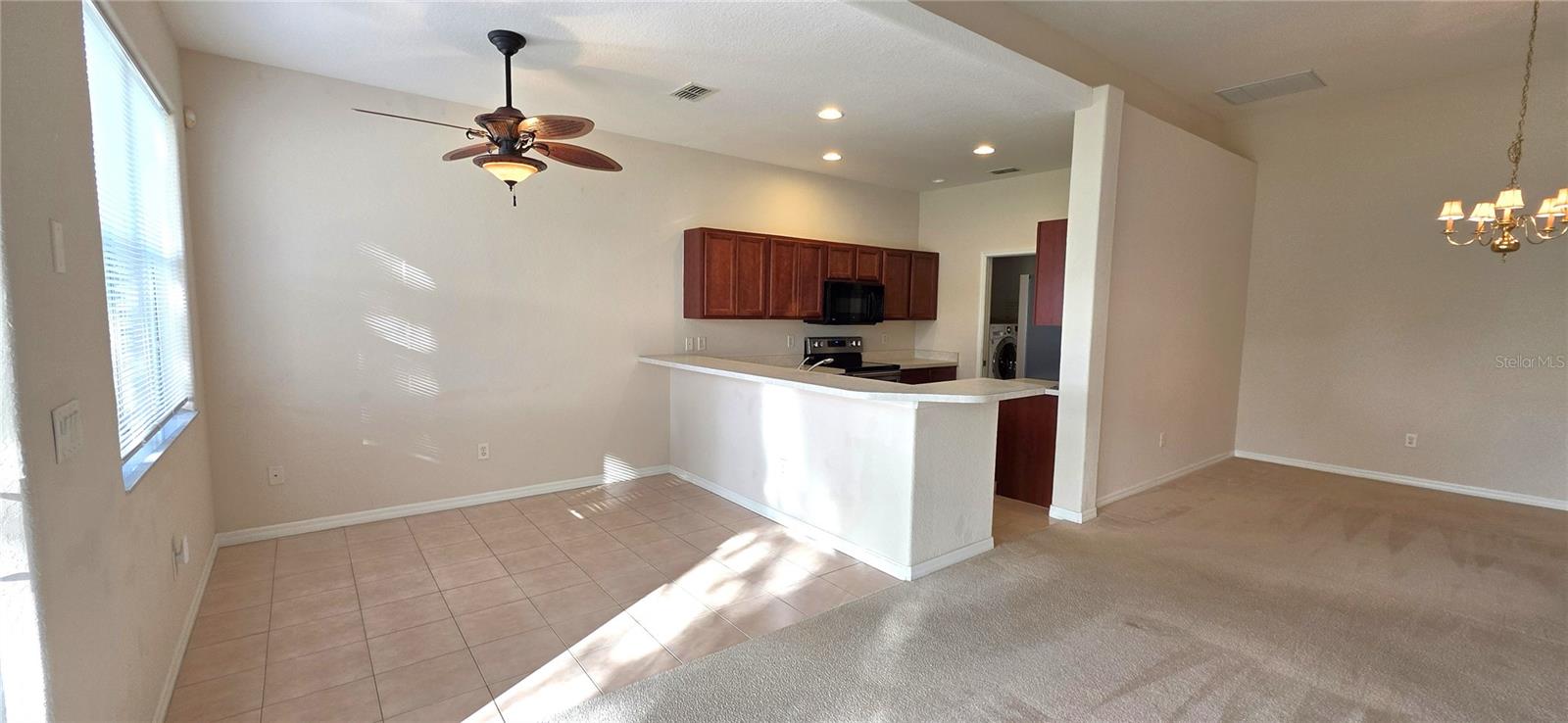 Image 17 of 62 For 10906 Tree Cactus Loop