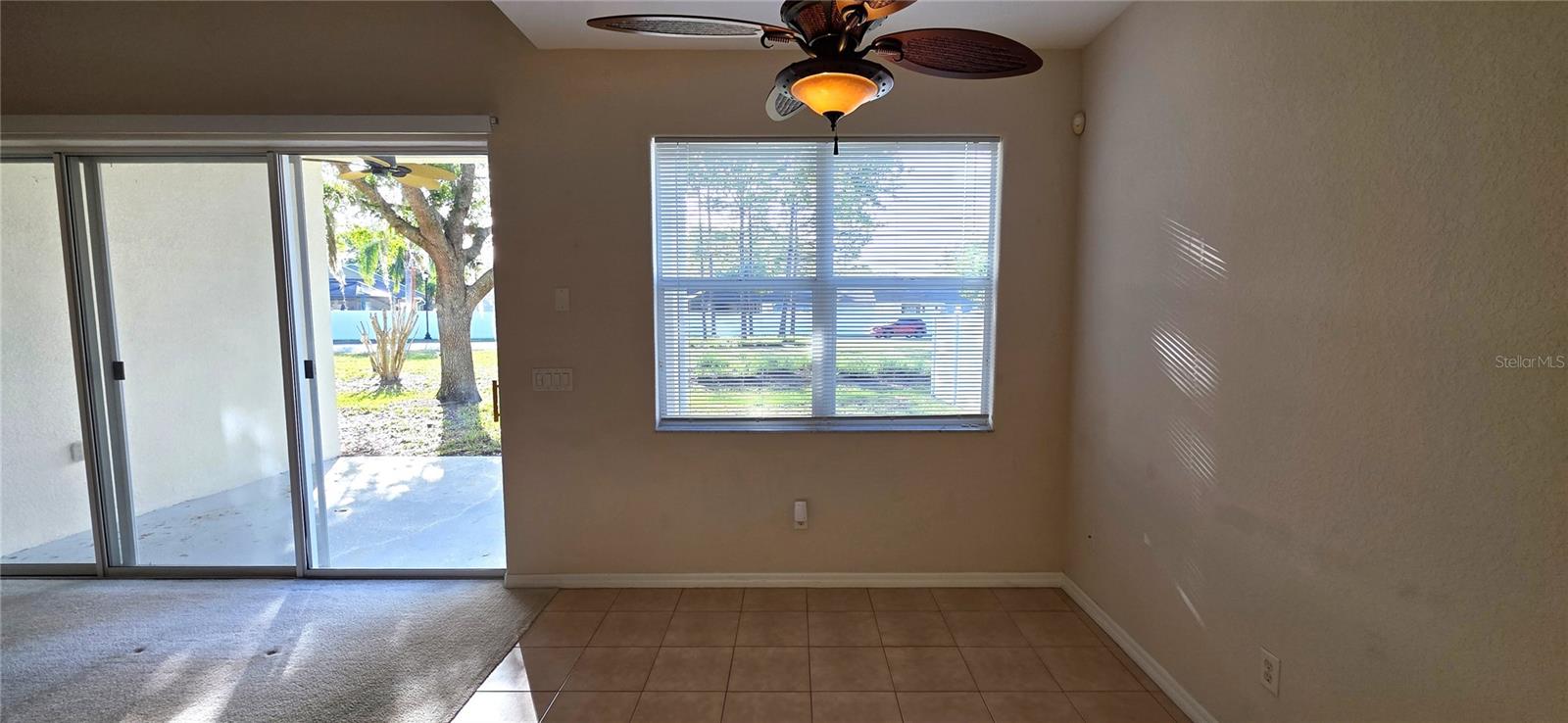 Image 19 of 62 For 10906 Tree Cactus Loop