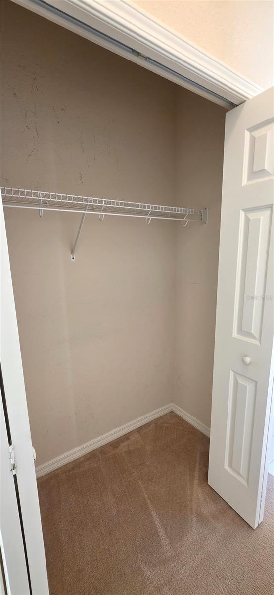 Image 31 of 62 For 10906 Tree Cactus Loop