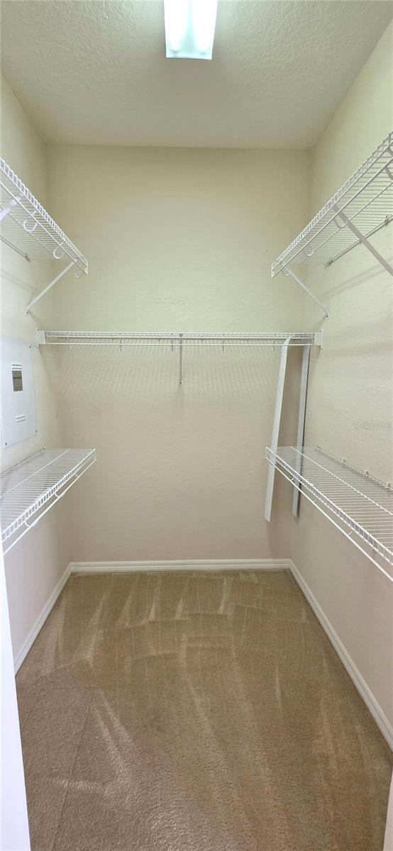 Image 33 of 62 For 10906 Tree Cactus Loop