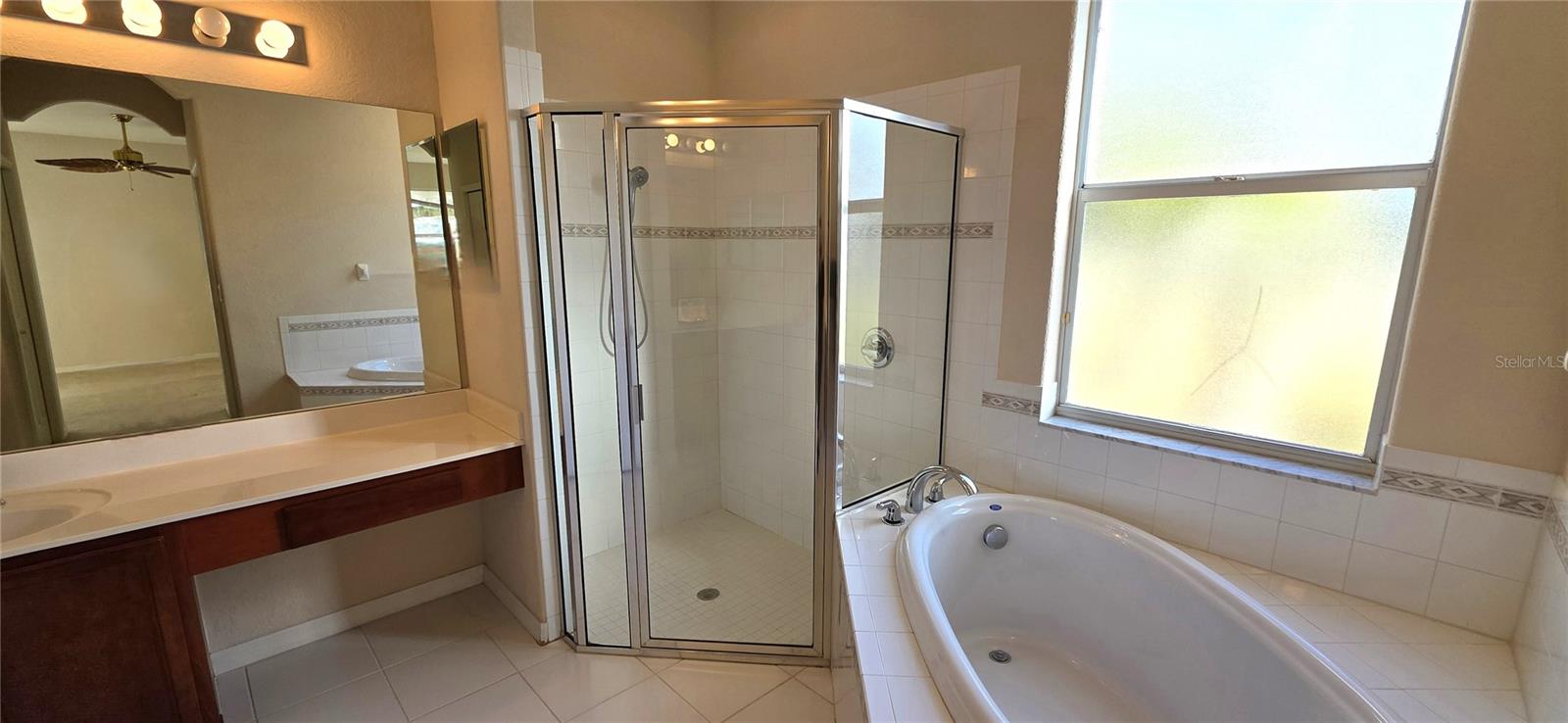 Image 36 of 62 For 10906 Tree Cactus Loop