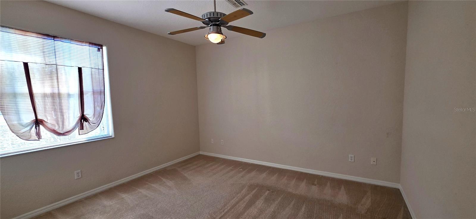 Image 41 of 62 For 10906 Tree Cactus Loop