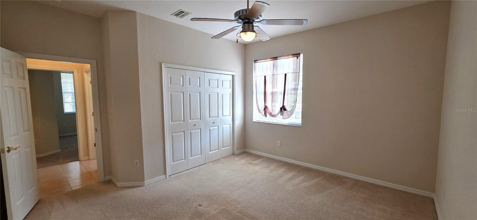 Image 42 of 62 For 10906 Tree Cactus Loop