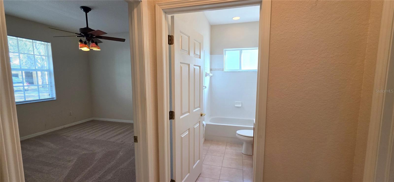 Image 46 of 62 For 10906 Tree Cactus Loop