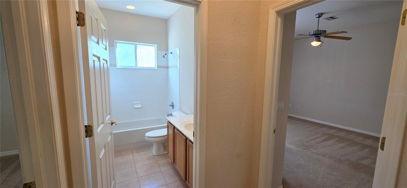 Image 47 of 62 For 10906 Tree Cactus Loop