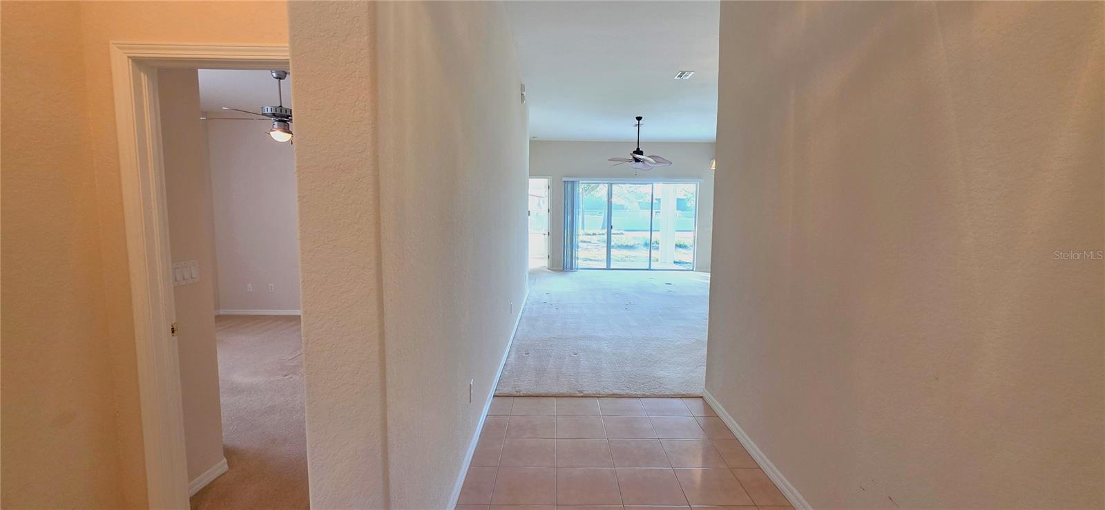 Image 48 of 62 For 10906 Tree Cactus Loop