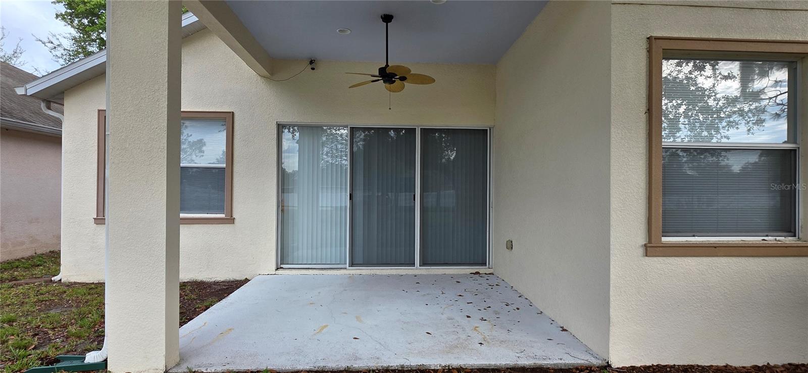 Image 49 of 62 For 10906 Tree Cactus Loop