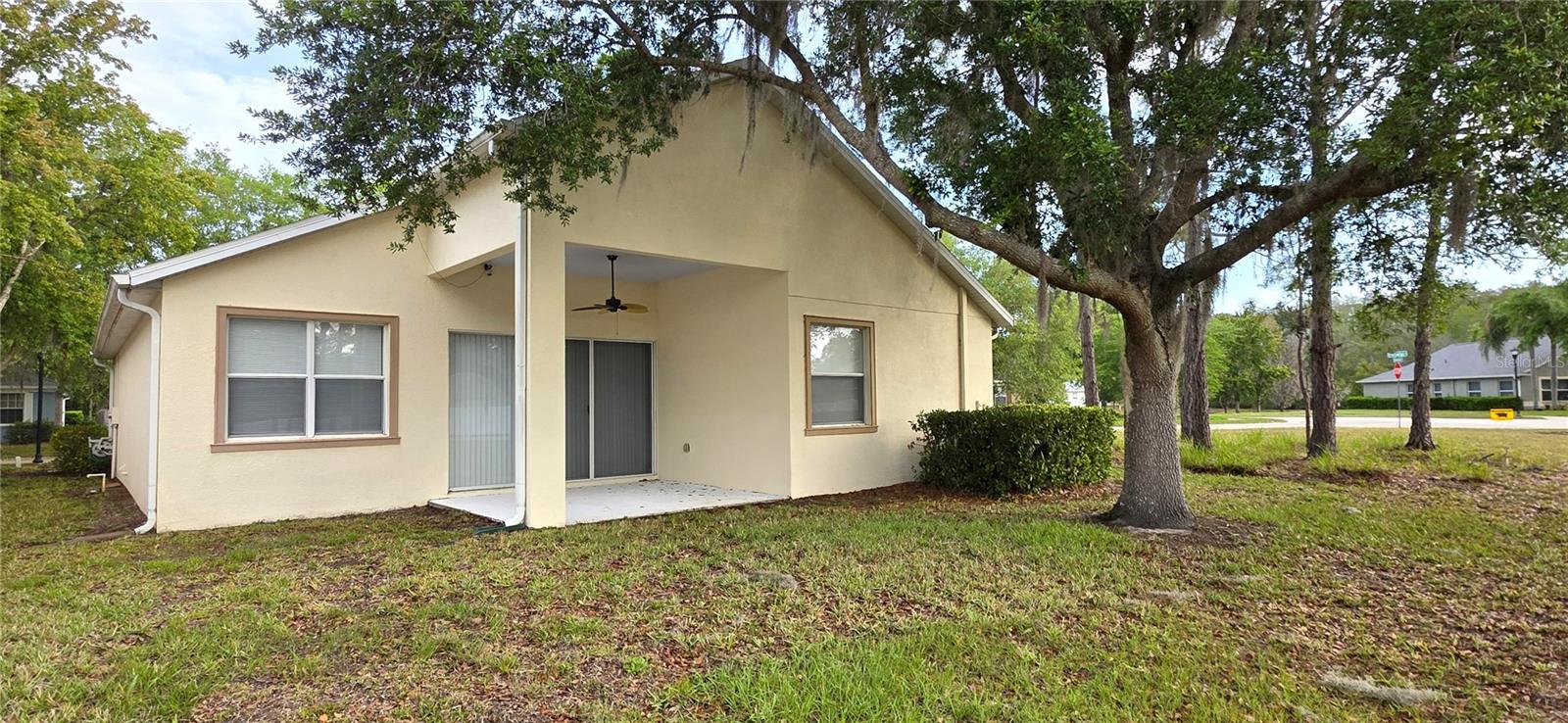 Image 52 of 62 For 10906 Tree Cactus Loop