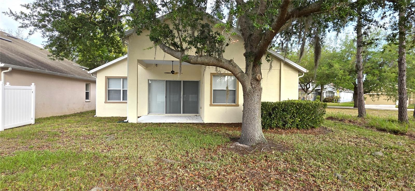 Image 53 of 62 For 10906 Tree Cactus Loop