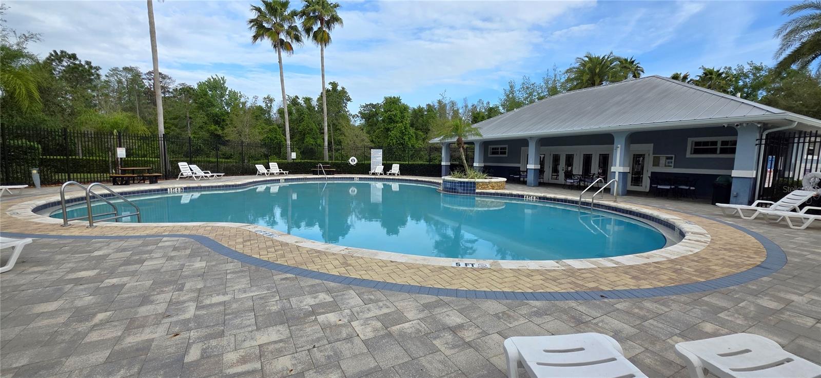 Image 56 of 62 For 10906 Tree Cactus Loop