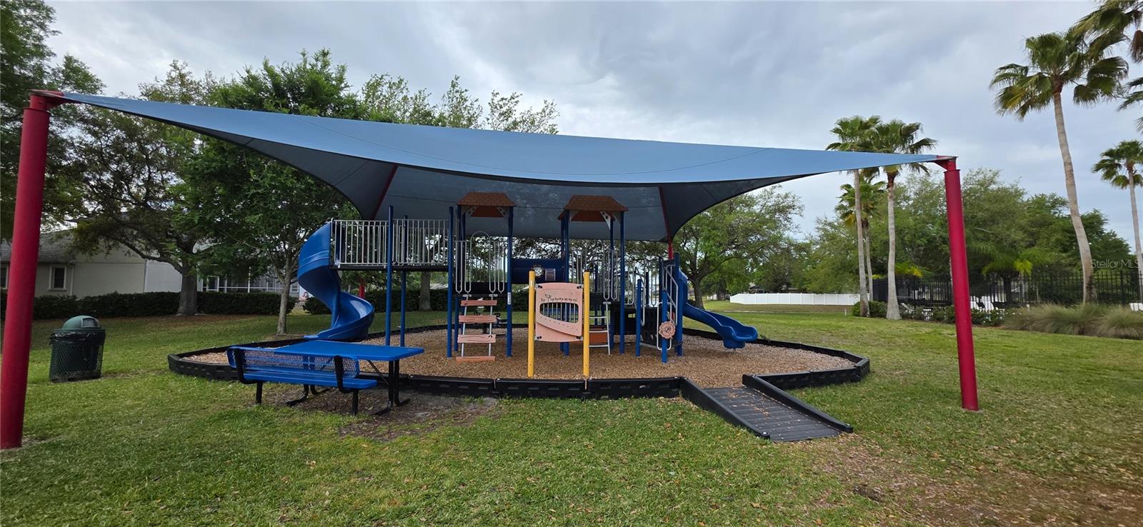 Image 57 of 62 For 10906 Tree Cactus Loop