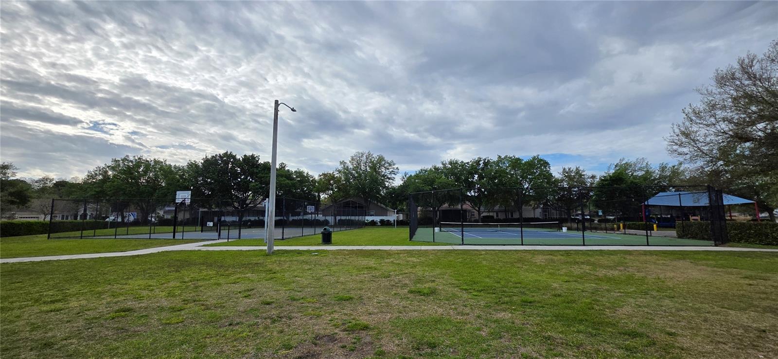 Image 58 of 62 For 10906 Tree Cactus Loop