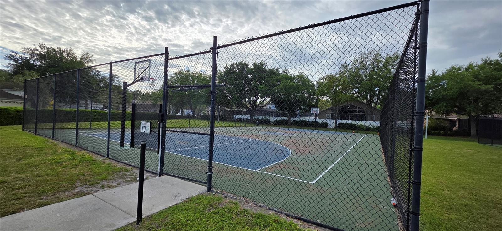 Image 59 of 62 For 10906 Tree Cactus Loop
