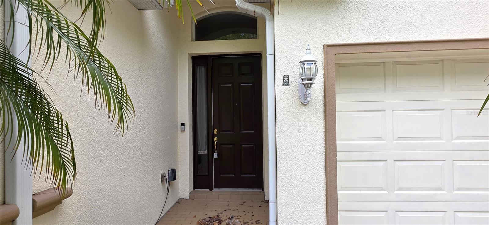 Image 6 of 62 For 10906 Tree Cactus Loop