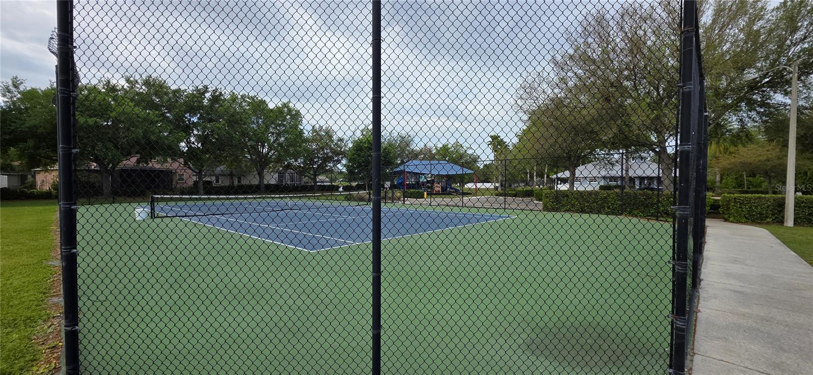 Image 60 of 62 For 10906 Tree Cactus Loop