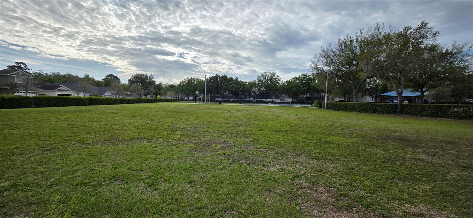 Image 61 of 62 For 10906 Tree Cactus Loop