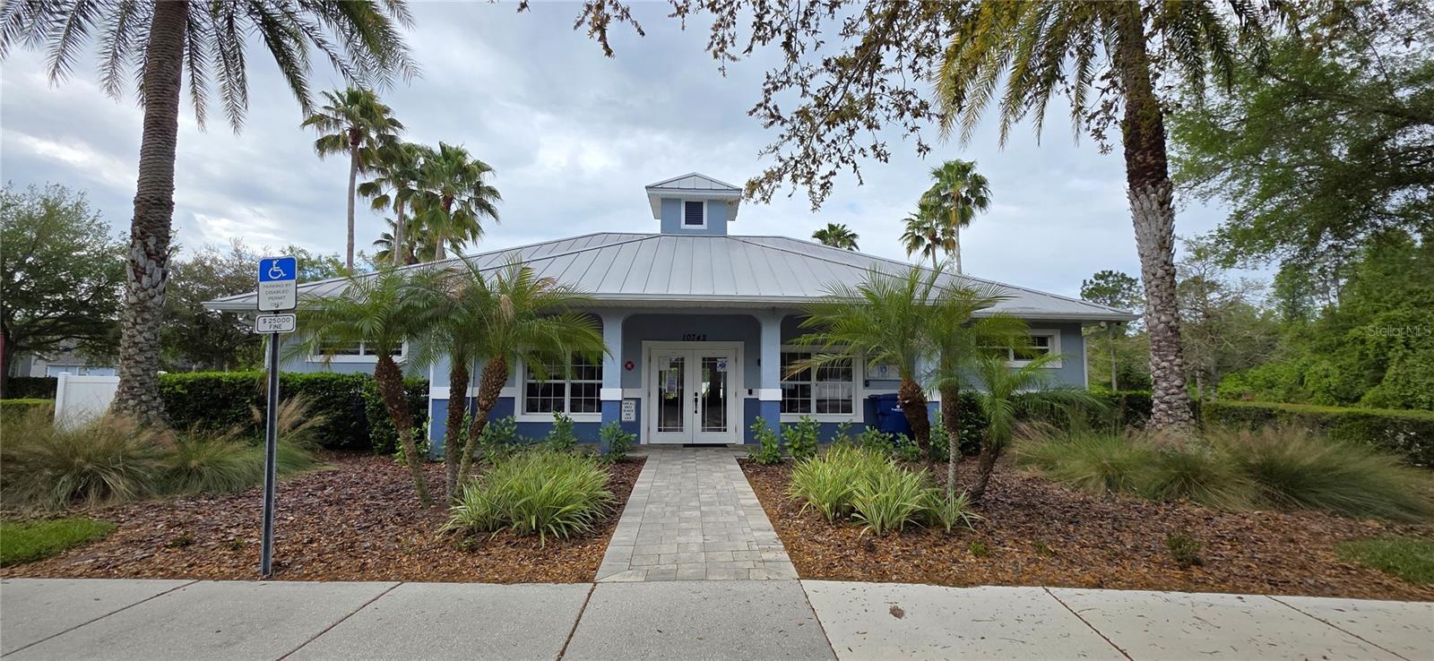 Image 62 of 62 For 10906 Tree Cactus Loop