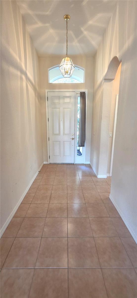 Image 7 of 62 For 10906 Tree Cactus Loop