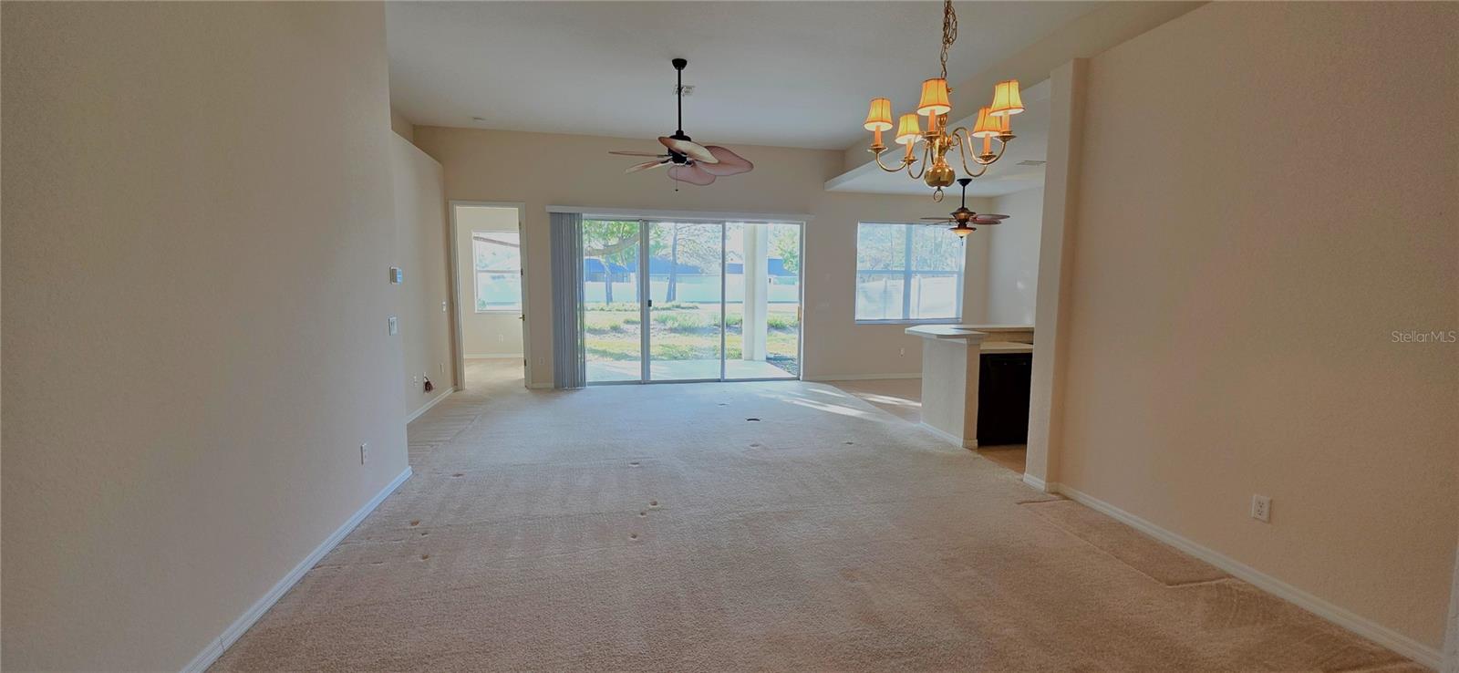 Image 8 of 62 For 10906 Tree Cactus Loop