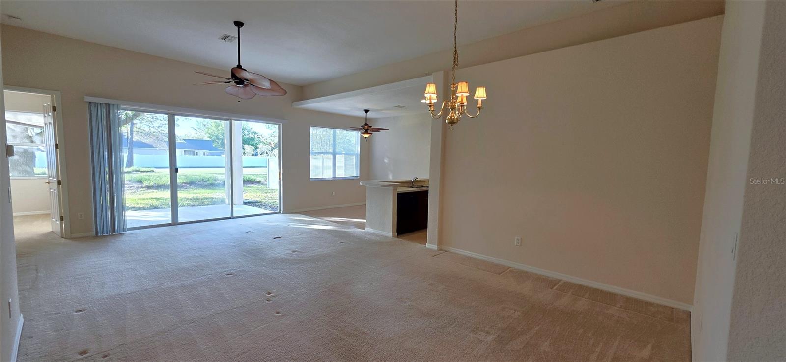 Image 9 of 62 For 10906 Tree Cactus Loop