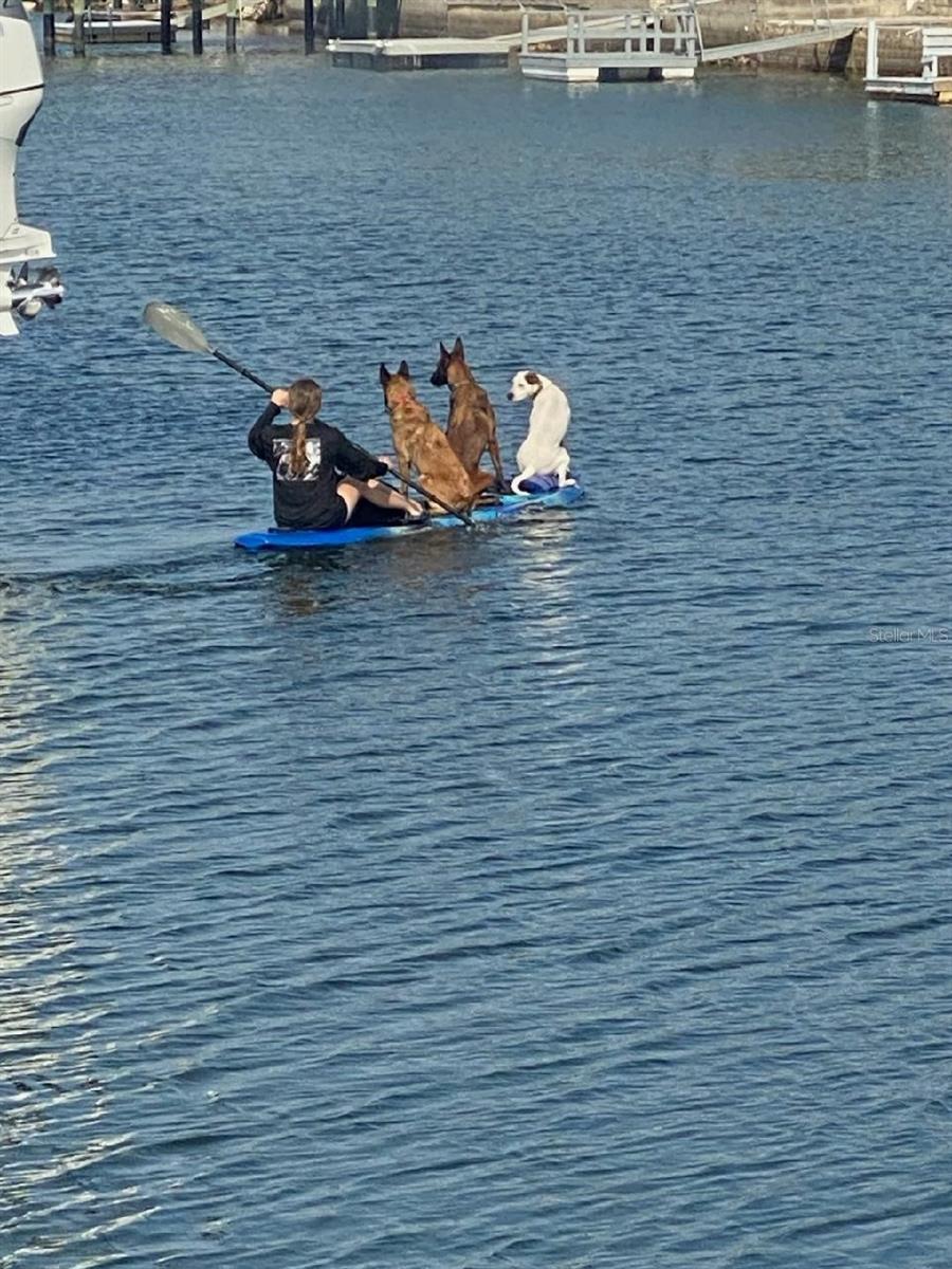 Image 81 of 89 For 13144 Coxswain Court