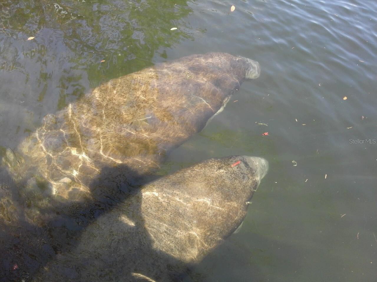 Image 83 of 89 For 13144 Coxswain Court