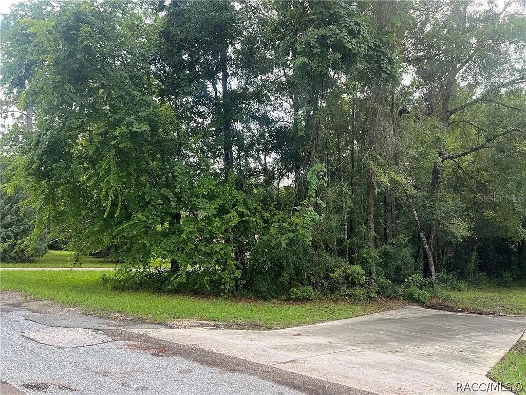 Details for 178 School Avenue, LECANTO, FL 34461