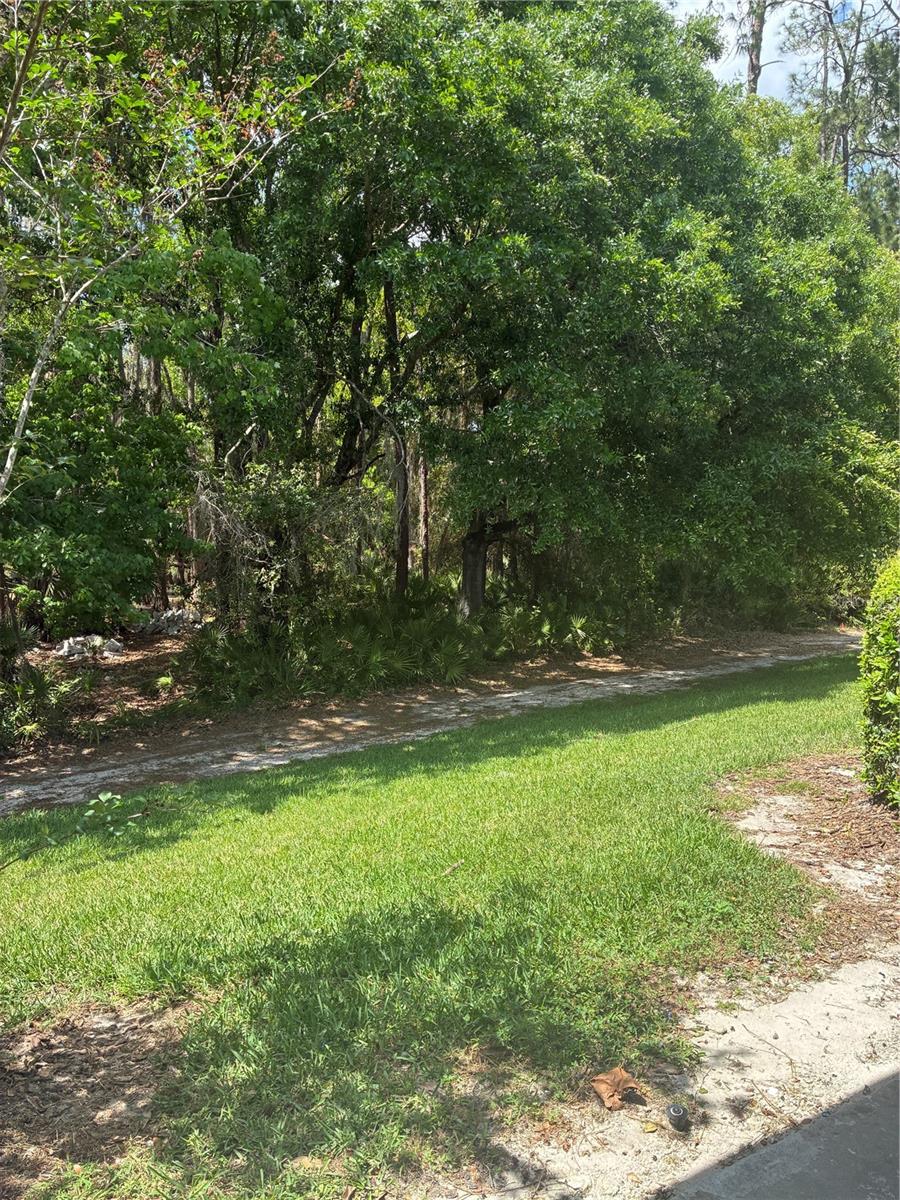 Image 39 of 45 For 5134 San Martino Drive