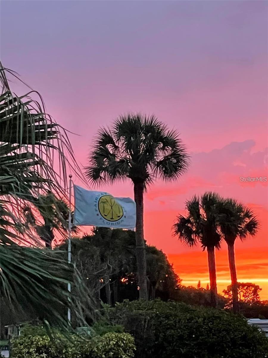 Listing photo id 32 for 1100 Belcher Road S 232