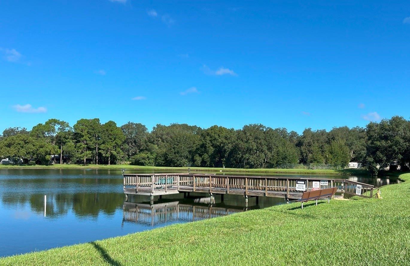 Image 29 of 30 For 3135 Great Oak Street