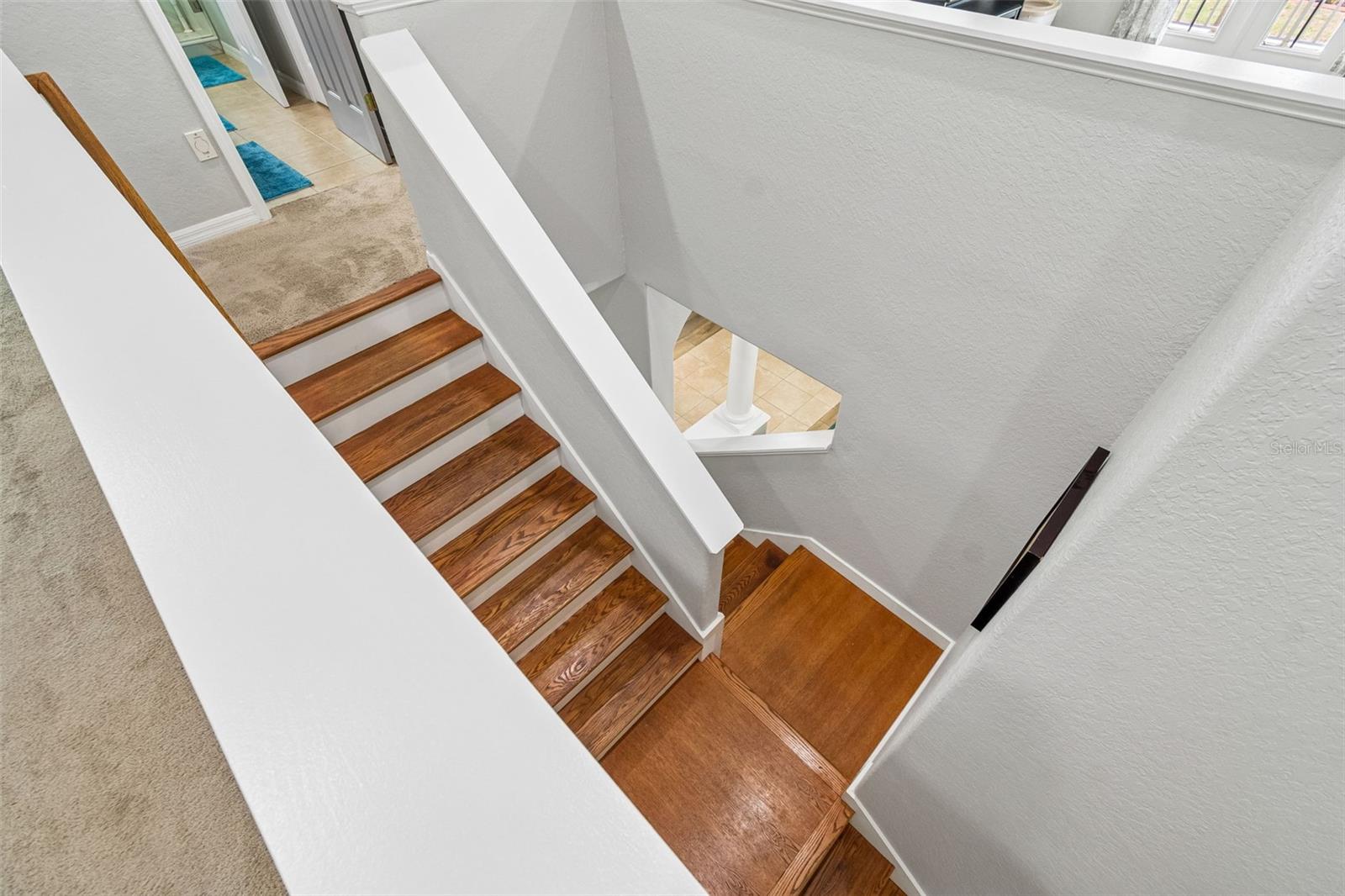 Listing photo id 42 for 11830 Newberry Grove Loop